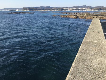 ウイリーサビキ